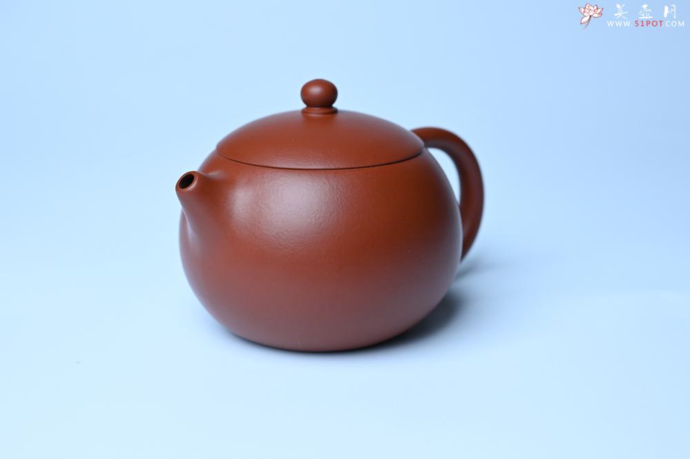 紫砂壶图片：紫砂壶特惠 油润大红袍朱泥 小品西施壶 茶人醉爱 - 紫砂壶信息网