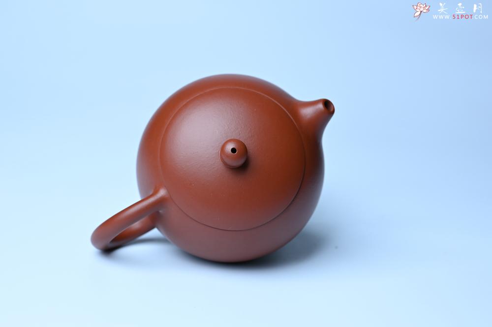 紫砂壶图片：紫砂壶特惠 油润大红袍朱泥 小品西施壶 茶人醉爱 - 紫砂壶信息网