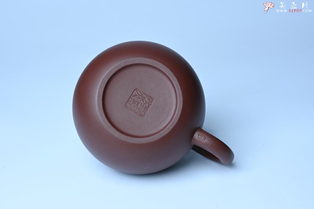 紫砂壶图片：紫砂壶福利特惠 精工西施 泥料优秀 - 紫砂壶信息网