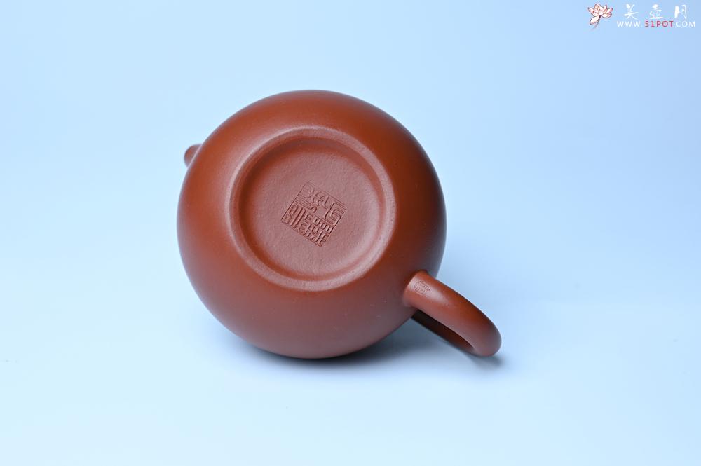 紫砂壶图片：紫砂壶特惠 油润大红袍朱泥 小品西施壶 茶人醉爱 - 紫砂壶信息网