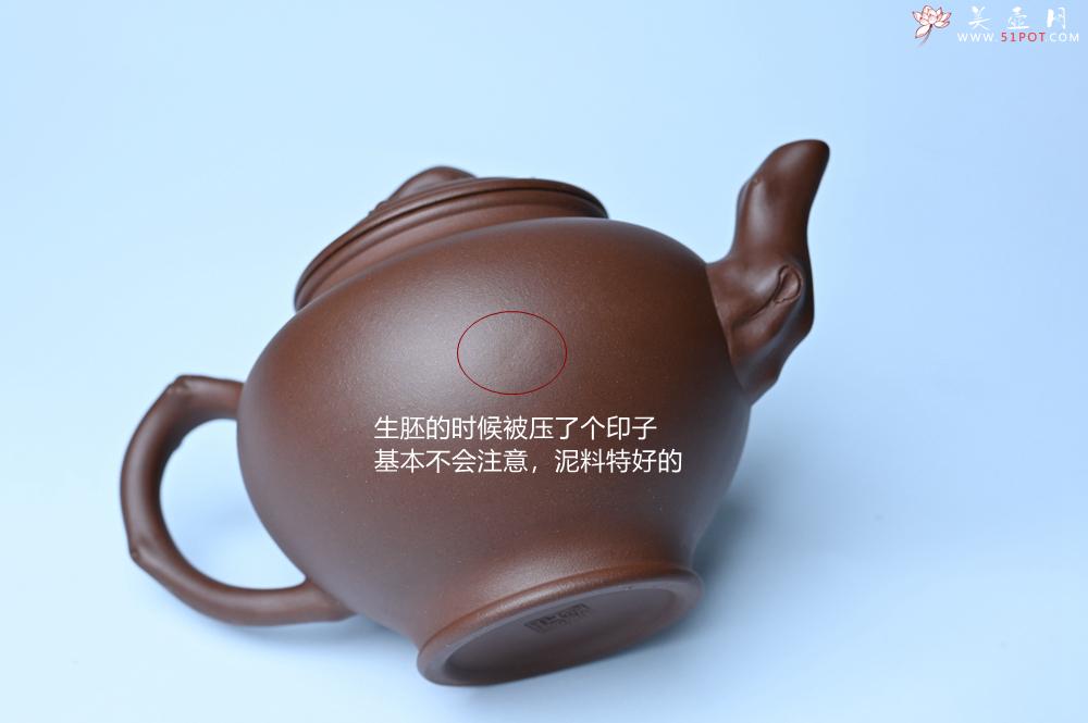 紫砂壶图片：紫砂壶特惠 精致报春系列之梅花报春壶 - 紫砂壶信息网