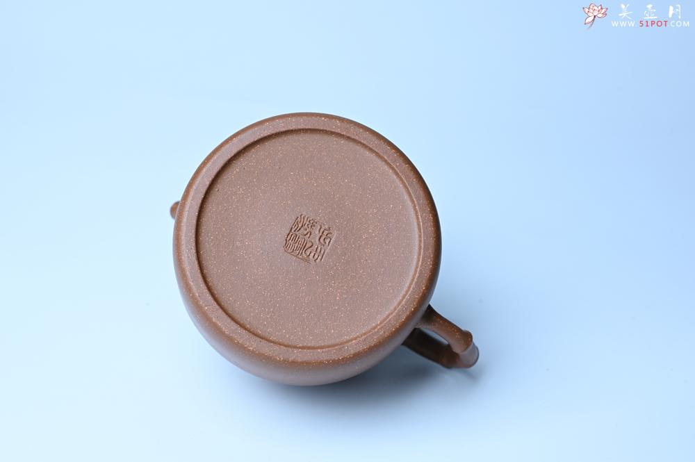 紫砂壶图片：紫砂壶特惠 精致秀雅趣竹壶 茶人醉爱 - 紫砂壶信息网