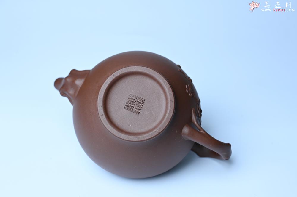 紫砂壶图片：紫砂壶特惠 精致报春系列之梅花报春壶 - 紫砂壶信息网
