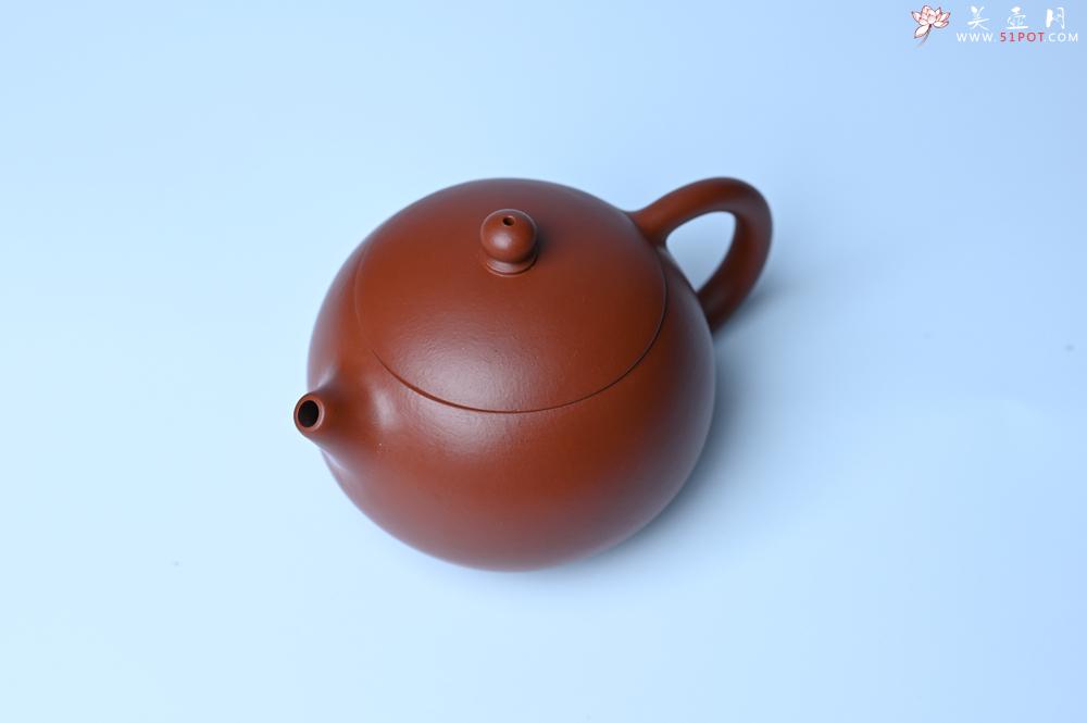 紫砂壶图片：紫砂壶特惠 油润大红袍朱泥 小品西施壶 茶人醉爱 - 紫砂壶信息网