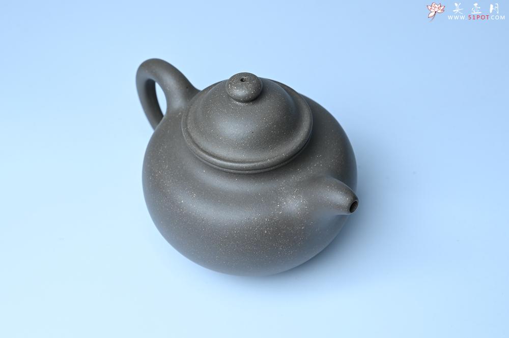 紫砂壶图片：紫砂壶特惠 精致青段大亨掇只壶 茶人醉爱 - 紫砂壶信息网