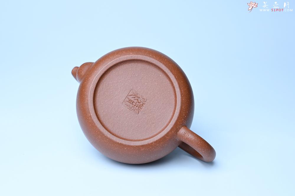 紫砂壶图片：紫砂壶特惠 特好降坡泥大口实用思韵壶 茶人醉爱 - 紫砂壶信息网