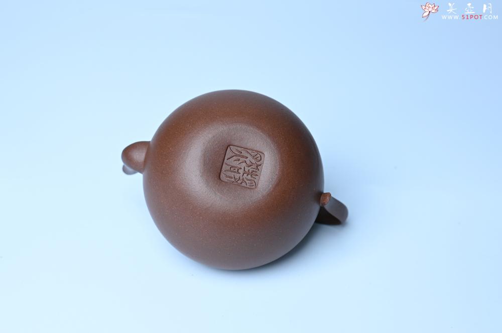 紫砂壶图片：紫砂壶特惠 黑星红拼紫泥（家藏限量） 小清新 茶人醉爱 - 紫砂壶信息网