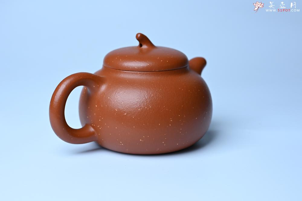 紫砂壶图片：紫砂壶特惠 特好红泥桂花砂茄段壶 茶人醉爱 - 紫砂壶信息网