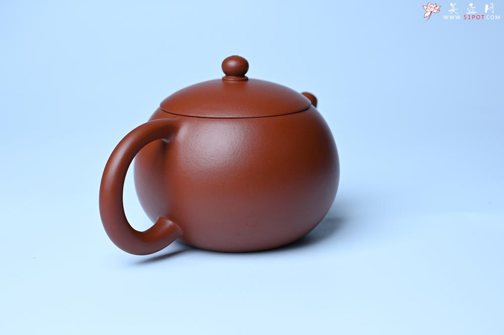 紫砂壶图片：紫砂壶特惠 油润大红袍朱泥 小品西施壶 茶人醉爱 - 紫砂壶信息网