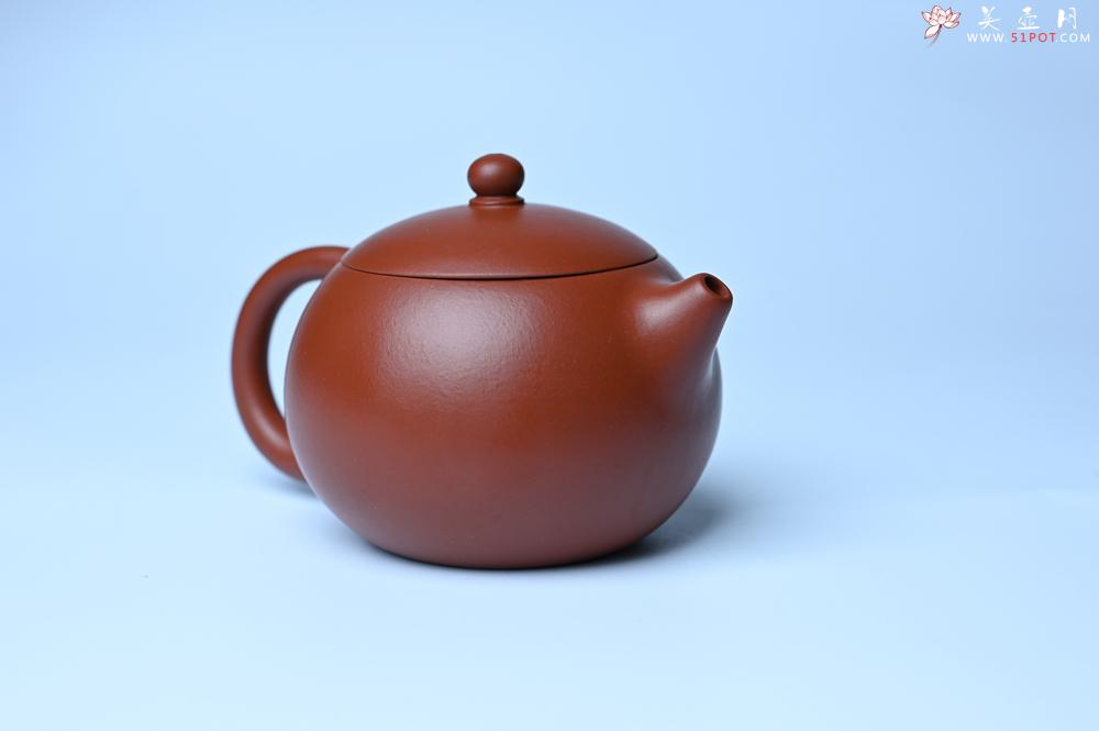 紫砂壶图片：紫砂壶特惠 油润大红袍朱泥 小品西施壶 茶人醉爱 - 紫砂壶信息网