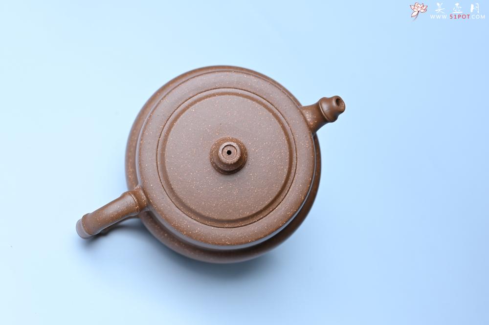 紫砂壶图片：紫砂壶特惠 精致秀雅趣竹壶 茶人醉爱 - 紫砂壶信息网