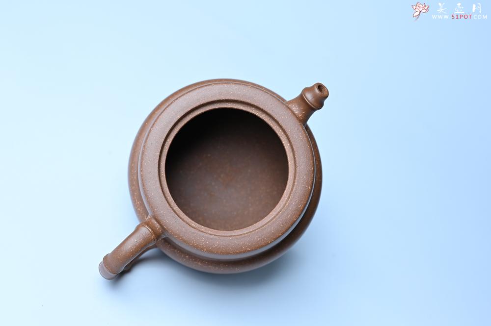 紫砂壶图片：紫砂壶特惠 精致秀雅趣竹壶 茶人醉爱 - 紫砂壶信息网