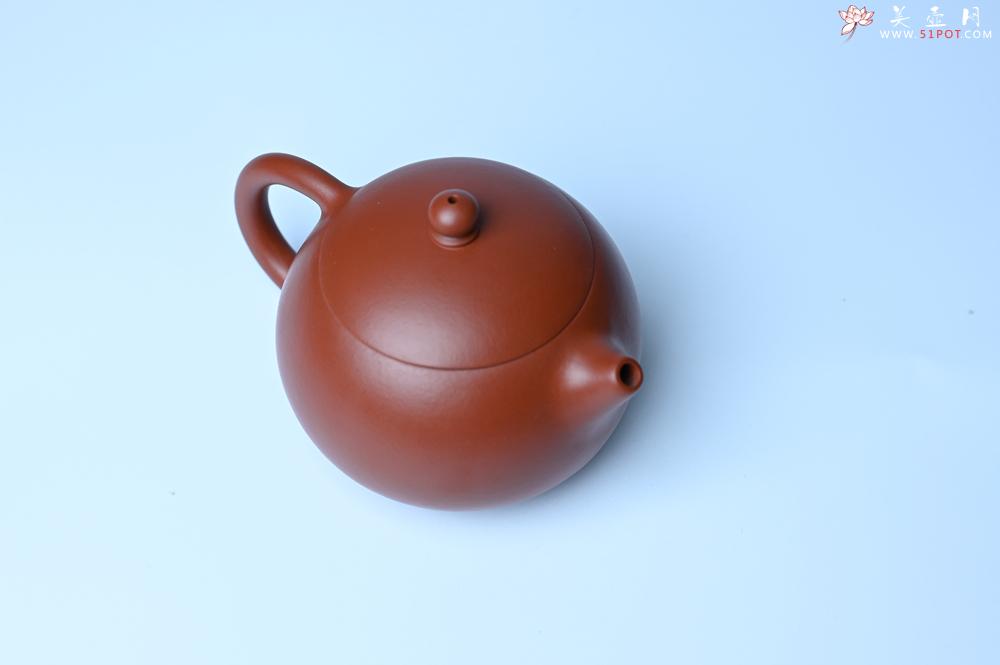 紫砂壶图片：紫砂壶特惠 油润大红袍朱泥 小品西施壶 茶人醉爱 - 紫砂壶信息网