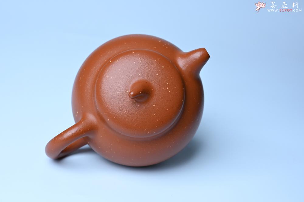 紫砂壶图片：紫砂壶特惠 特好红泥桂花砂茄段壶 茶人醉爱 - 紫砂壶信息网