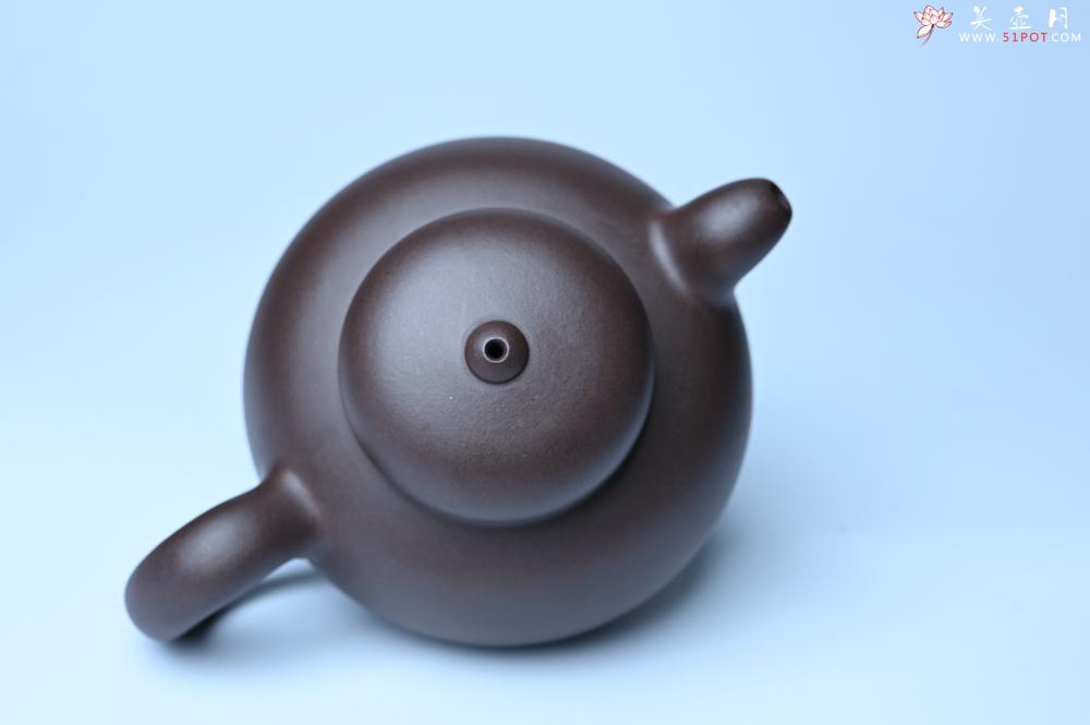 紫砂壶图片：紫砂壶特惠 精致优质黑星土道洪风格德福壶 茶人醉爱 - 紫砂壶信息网
