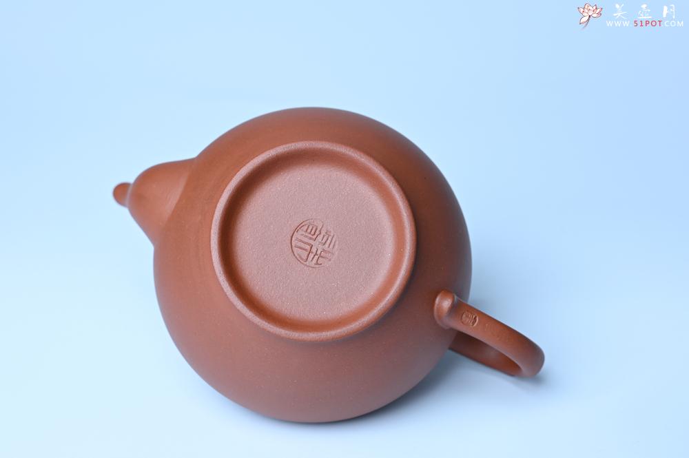 紫砂壶图片：紫砂壶特惠 金砂隐现特好老清水泥笑樱壶 茶人醉爱 - 紫砂壶信息网