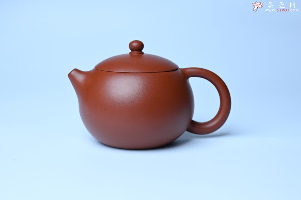 紫砂壶图片：紫砂壶特惠 油润大红袍朱泥 小品西施壶 茶人醉爱 - 紫砂壶信息网