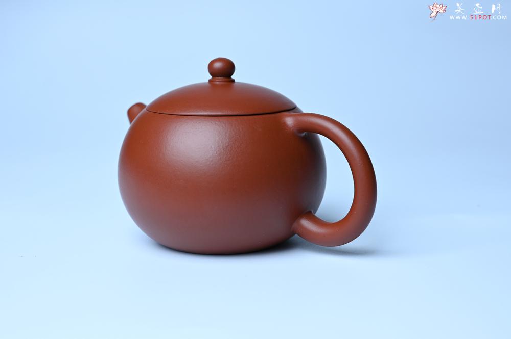 紫砂壶图片：紫砂壶特惠 油润大红袍朱泥 小品西施壶 茶人醉爱 - 紫砂壶信息网