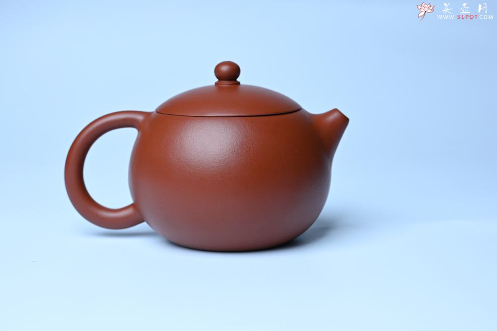 紫砂壶图片：紫砂壶特惠 油润大红袍朱泥 小品西施壶 茶人醉爱 - 紫砂壶信息网