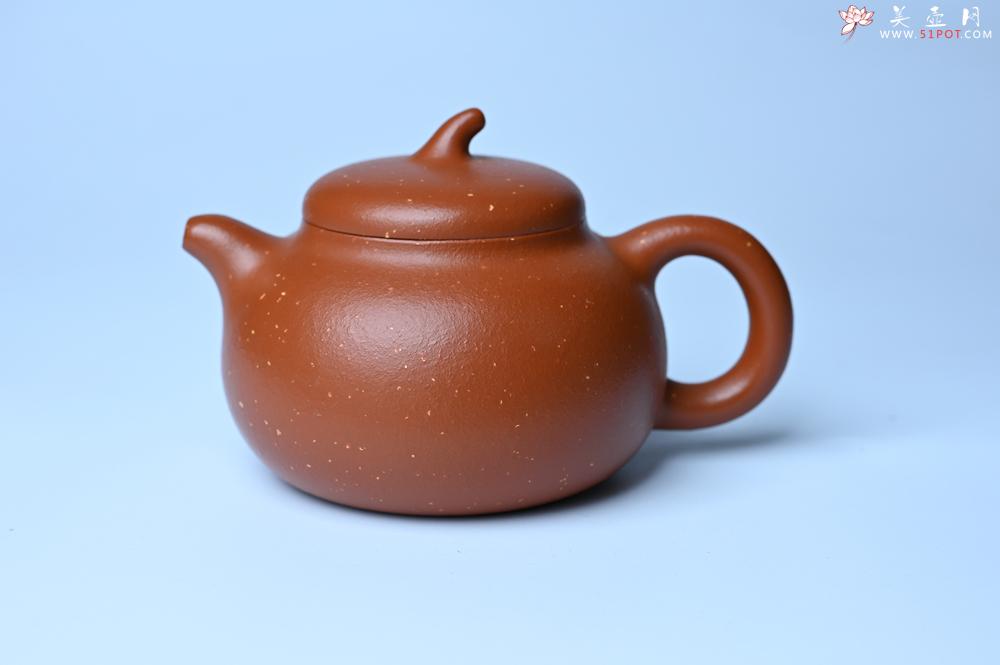 紫砂壶图片：紫砂壶特惠 特好红泥桂花砂茄段壶 茶人醉爱 - 紫砂壶信息网