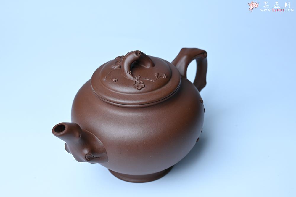 紫砂壶图片：紫砂壶特惠 精致报春系列之梅花报春壶 - 紫砂壶信息网