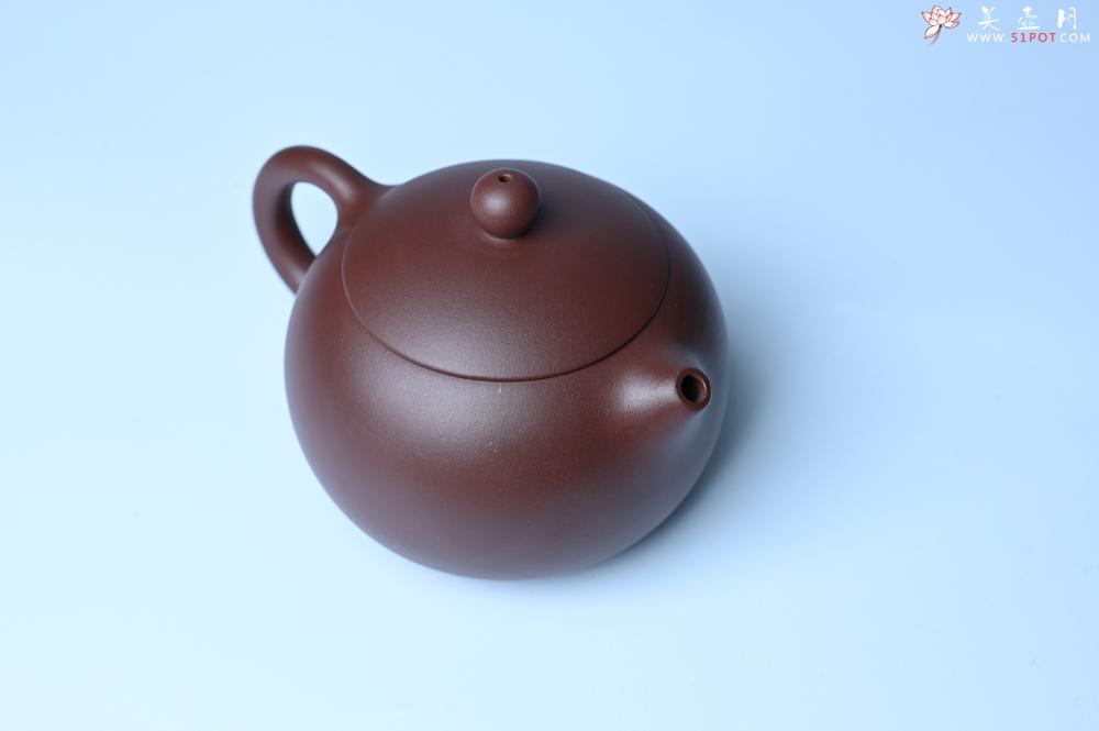 紫砂壶图片：紫砂壶福利特惠 精工西施 泥料优秀 - 紫砂壶信息网