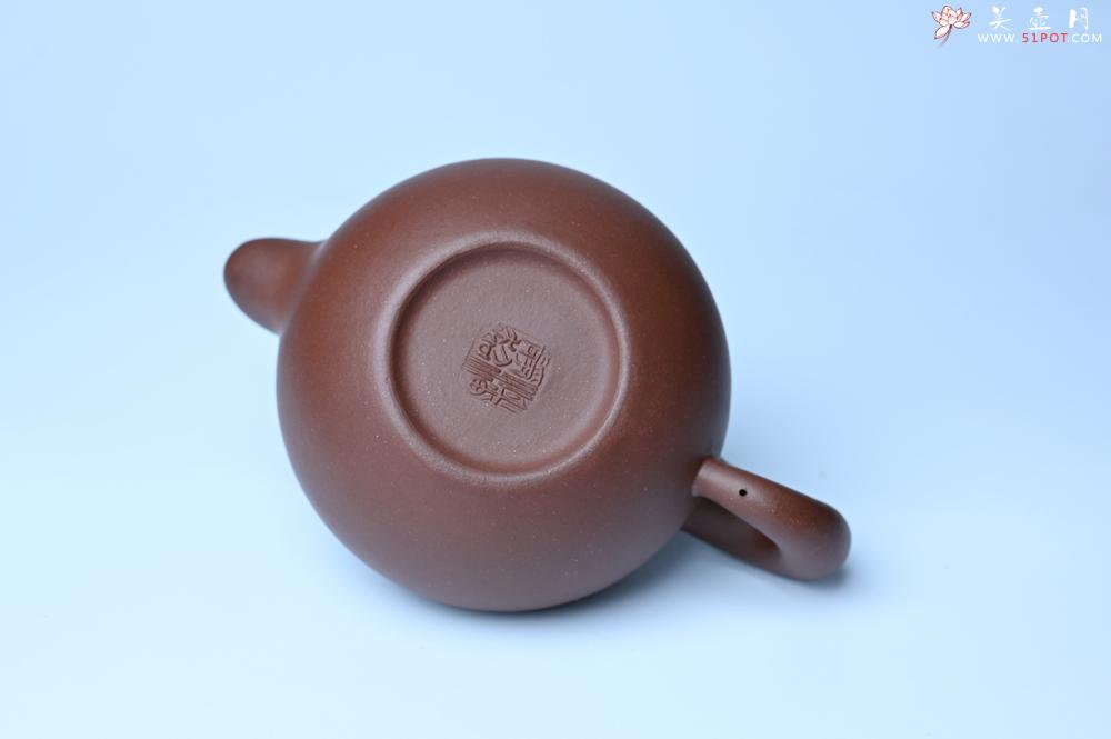 紫砂壶图片：紫砂壶特惠 黑星红拼紫泥（家藏限量）道洪圆珠壶 - 紫砂壶信息网