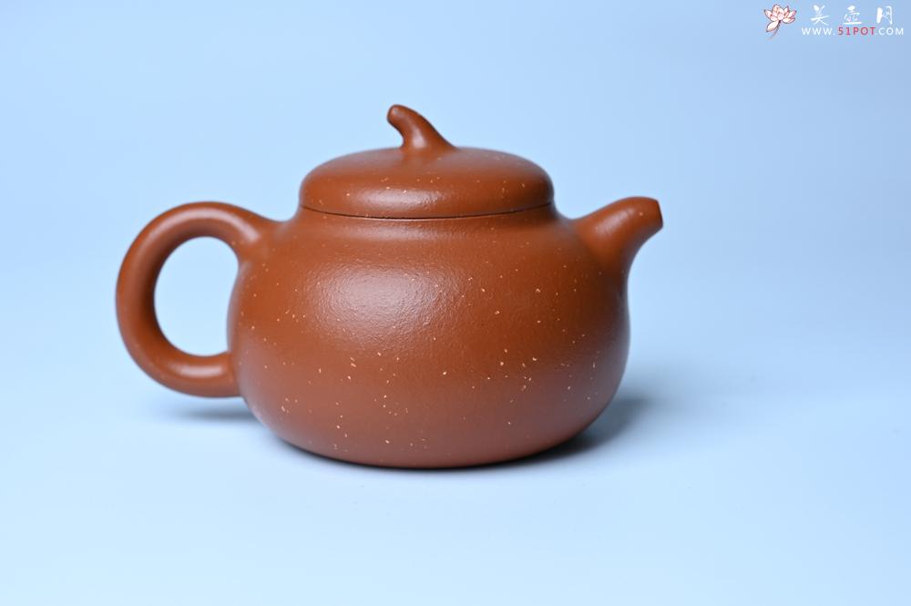 紫砂壶图片：紫砂壶特惠 特好红泥桂花砂茄段壶 茶人醉爱 - 紫砂壶信息网