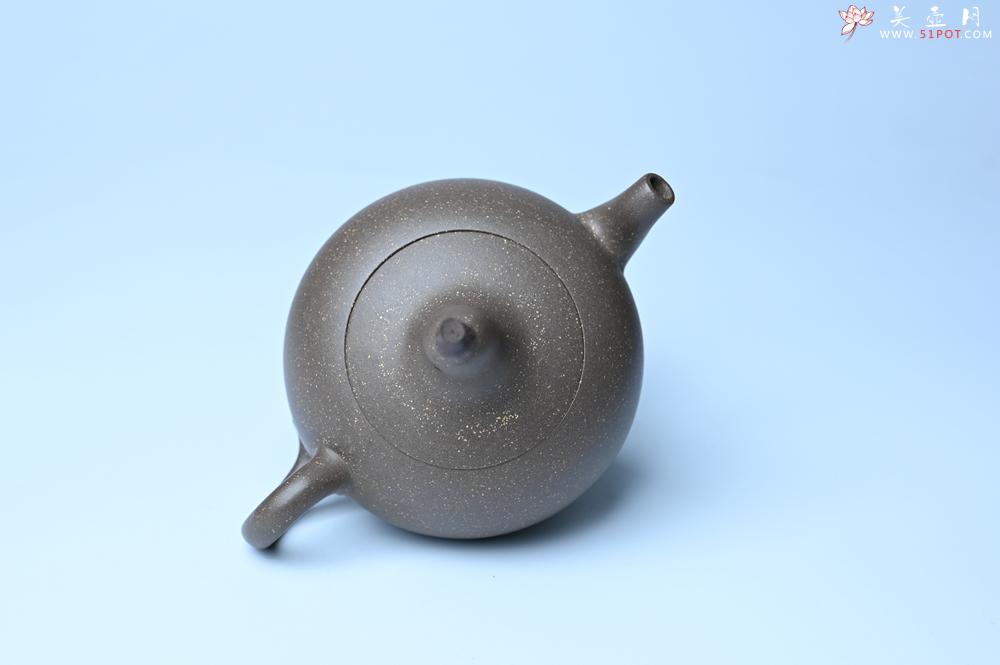 紫砂壶图片：紫砂壶特惠 精致青段大肚茄子壶 茶人醉爱 - 紫砂壶信息网