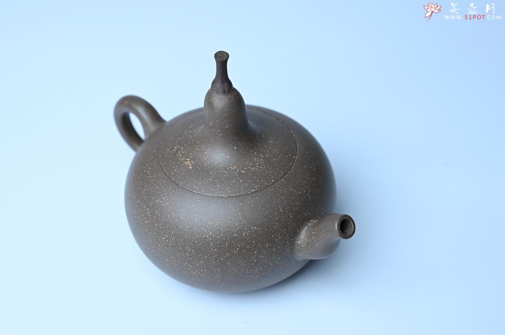 紫砂壶图片：紫砂壶特惠 精致青段大肚茄子壶 茶人醉爱 - 紫砂壶信息网