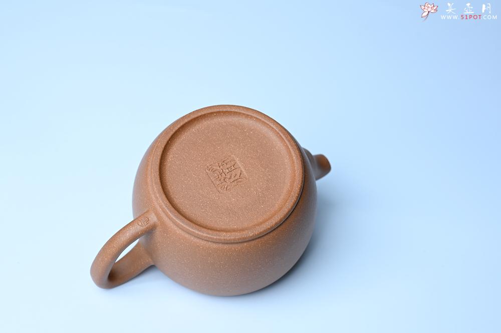 紫砂壶图片：紫砂壶特惠 精致黄降坡泥汉瓦壶 茶人醉爱 - 紫砂壶信息网
