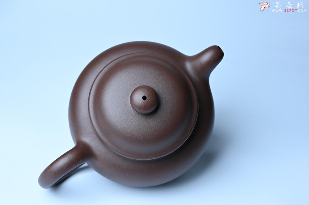 紫砂壶图片：紫砂壶特惠 精致大掇只壶 大品气势恢宏 茶人醉爱 - 紫砂壶信息网