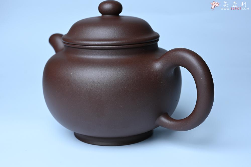 紫砂壶图片：紫砂壶特惠 精致大掇只壶 大品气势恢宏 茶人醉爱 - 紫砂壶信息网