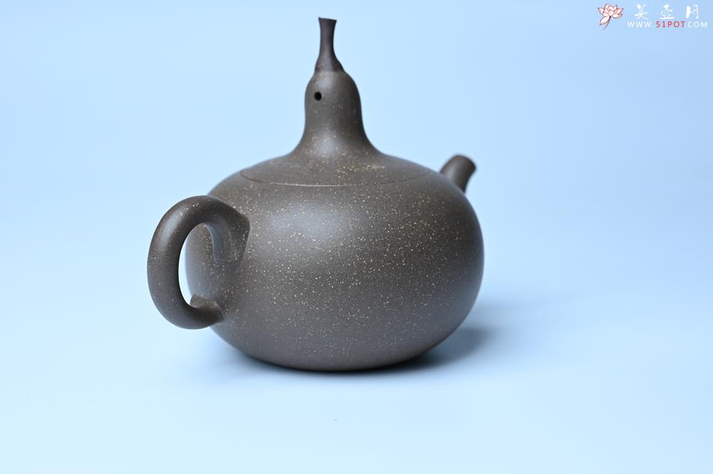 紫砂壶图片：紫砂壶特惠 精致青段大肚茄子壶 茶人醉爱 - 紫砂壶信息网