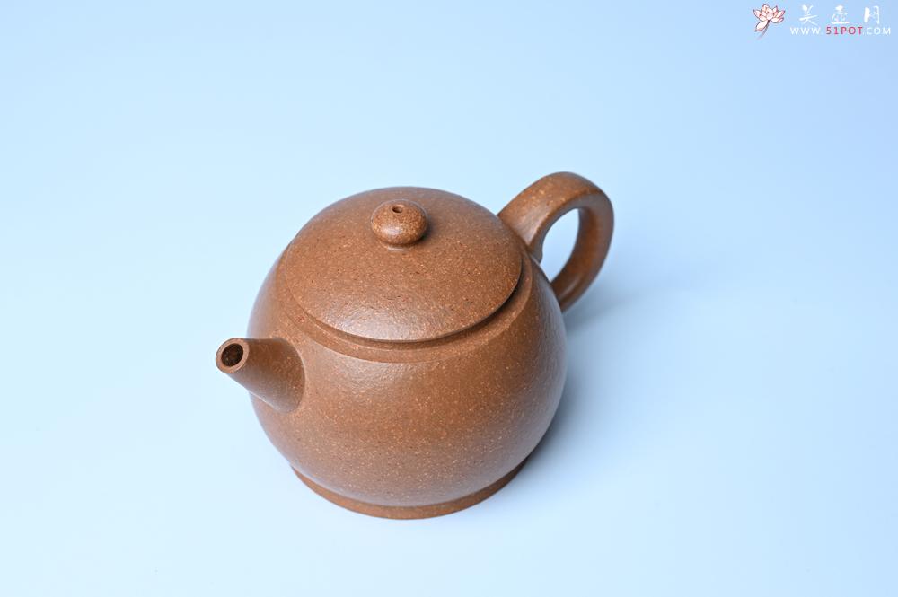 紫砂壶图片：紫砂壶特惠 特好黄降坡泥巨轮珠紫砂壶 茶人醉爱 - 紫砂壶信息网