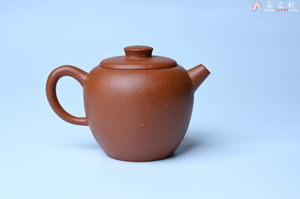 紫砂壶图片：紫砂壶特惠 精品粗砂红泥巨轮壶 茶人醉爱 - 紫砂壶信息网