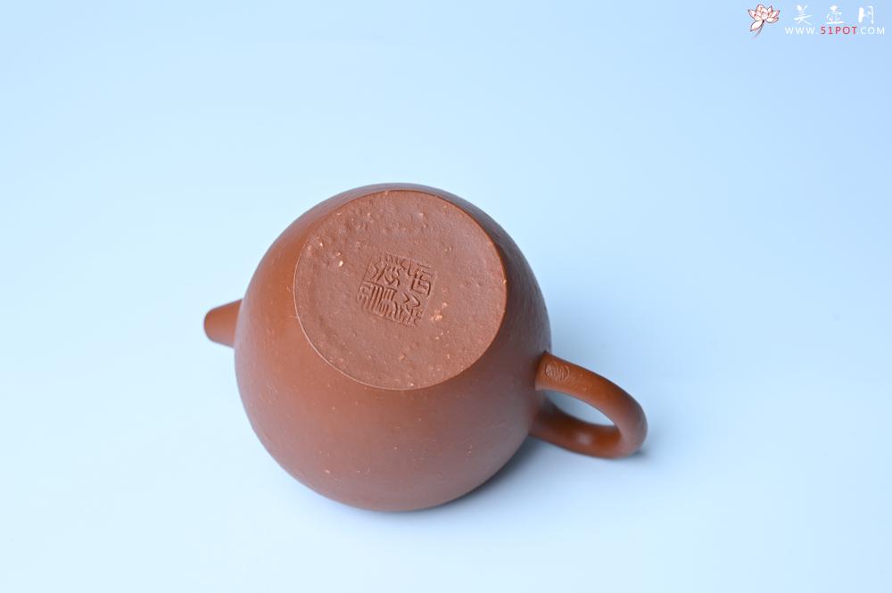 紫砂壶图片：紫砂壶特惠 精品粗砂红泥巨轮壶 茶人醉爱 - 紫砂壶信息网