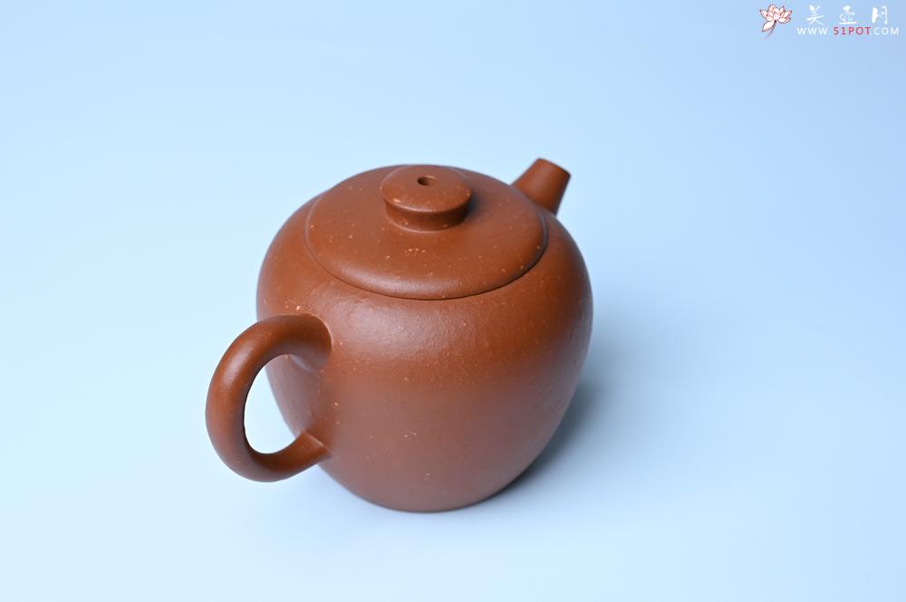 紫砂壶图片：紫砂壶特惠 精品粗砂红泥巨轮壶 茶人醉爱 - 紫砂壶信息网