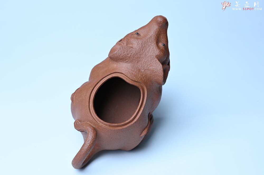 紫砂壶图片：紫砂壶特惠 优质降坡泥鼠你有钱壶壶 茶人醉爱 - 紫砂壶信息网