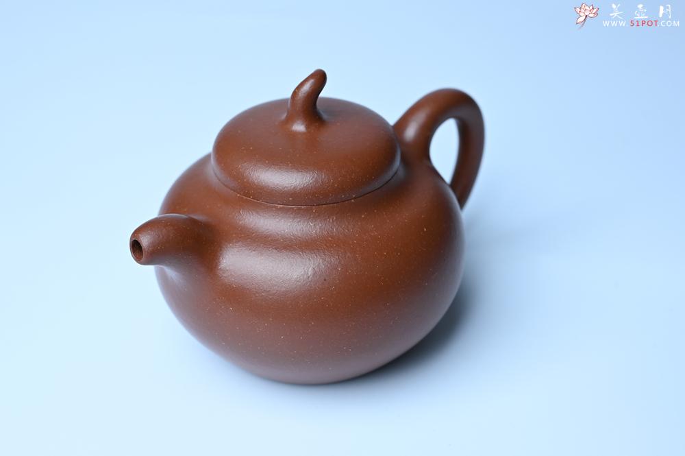 紫砂壶图片：潜力股周小培老师 油润降坡泥全手工茄瓜壶 - 紫砂壶信息网