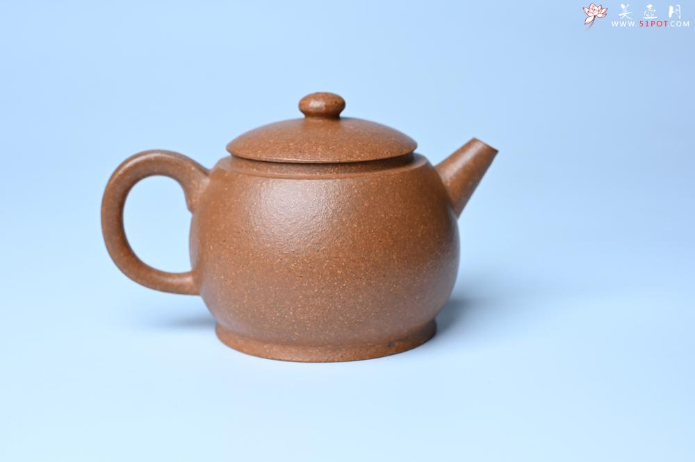 紫砂壶图片：紫砂壶特惠 特好黄降坡泥巨轮珠紫砂壶 茶人醉爱 - 紫砂壶信息网