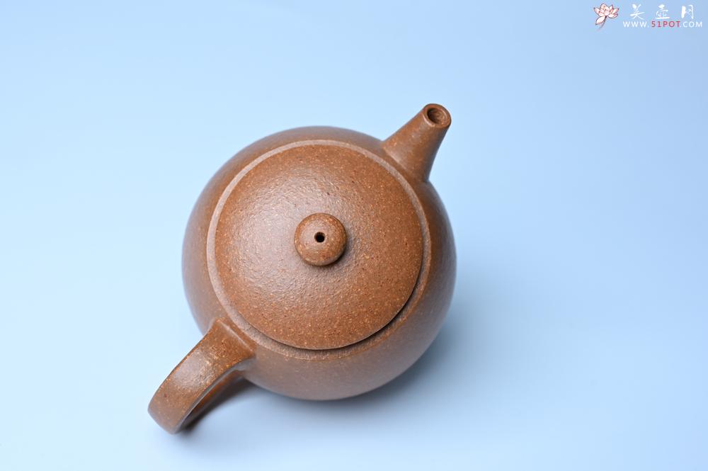 紫砂壶图片：紫砂壶特惠 特好黄降坡泥巨轮珠紫砂壶 茶人醉爱 - 紫砂壶信息网