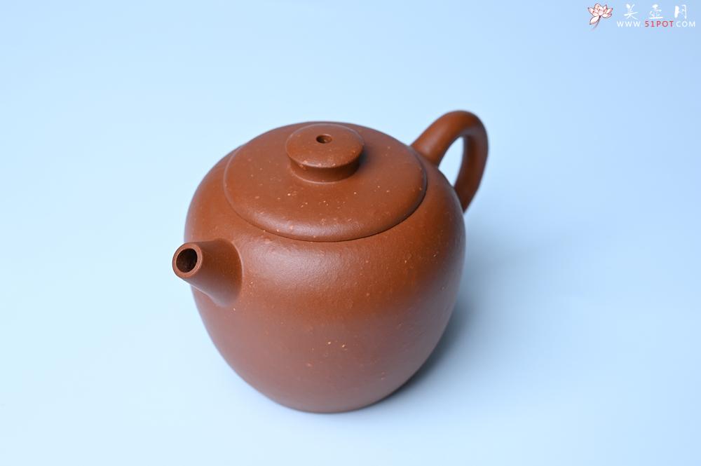 紫砂壶图片：紫砂壶特惠 精品粗砂红泥巨轮壶 茶人醉爱 - 紫砂壶信息网