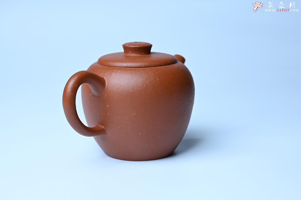 紫砂壶图片：紫砂壶特惠 精品粗砂红泥巨轮壶 茶人醉爱 - 紫砂壶信息网