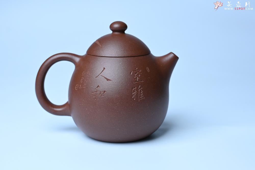 紫砂壶图片：紫砂壶特惠 特好底槽青龙蛋壶 装饰兰草特文气 - 紫砂壶信息网