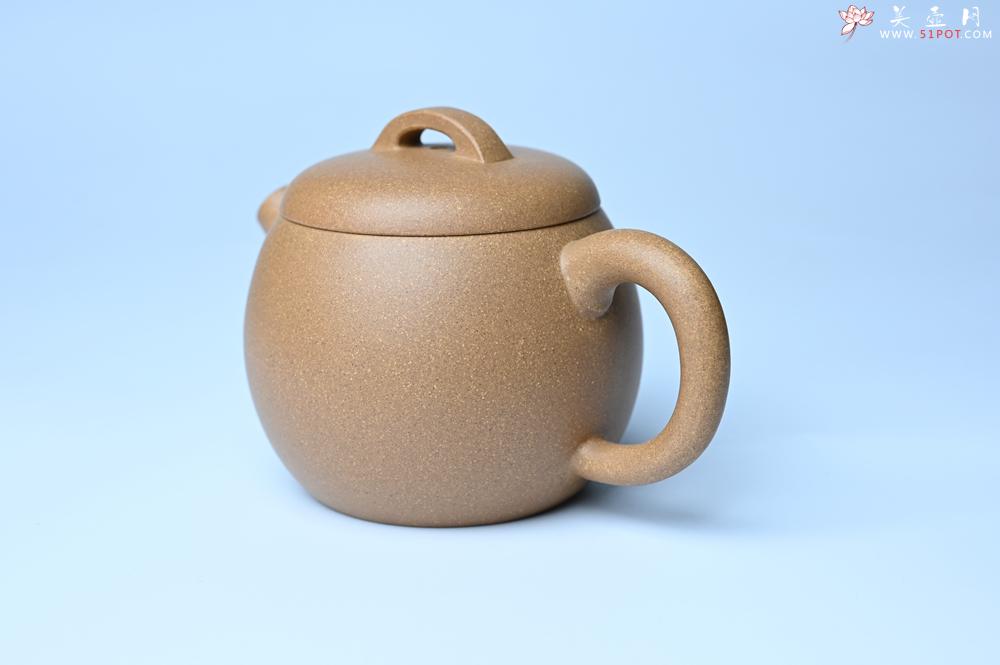 紫砂壶图片：紫砂壶特惠 特好老黄段泥精致大炮巨轮壶 茶人醉爱 - 紫砂壶信息网