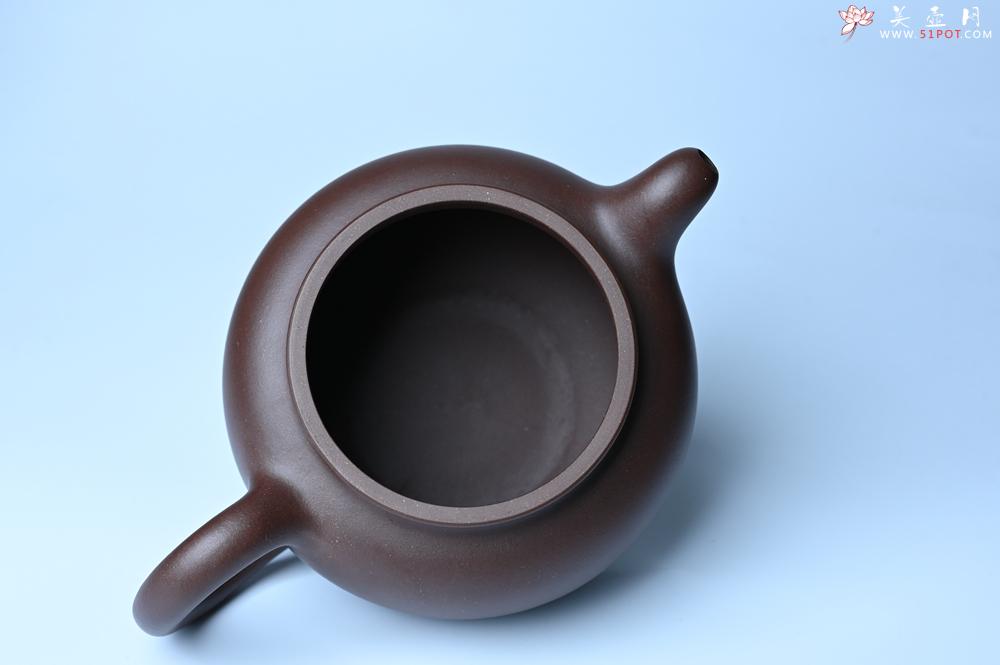 紫砂壶图片：紫砂壶特惠 精致大掇只壶 大品气势恢宏 茶人醉爱 - 紫砂壶信息网