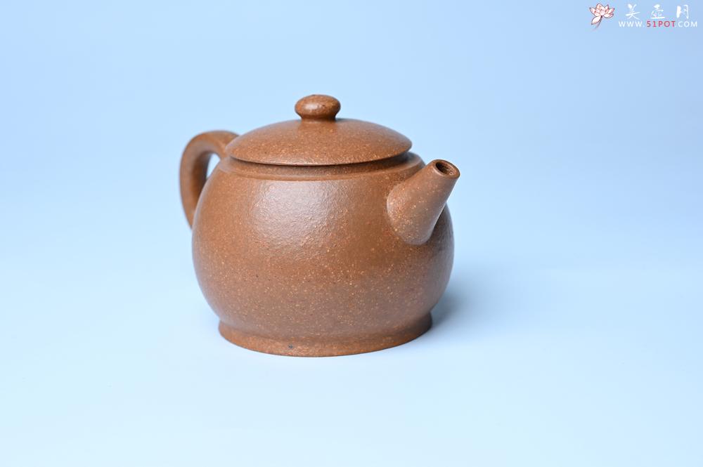 紫砂壶图片：紫砂壶特惠 特好黄降坡泥巨轮珠紫砂壶 茶人醉爱 - 紫砂壶信息网
