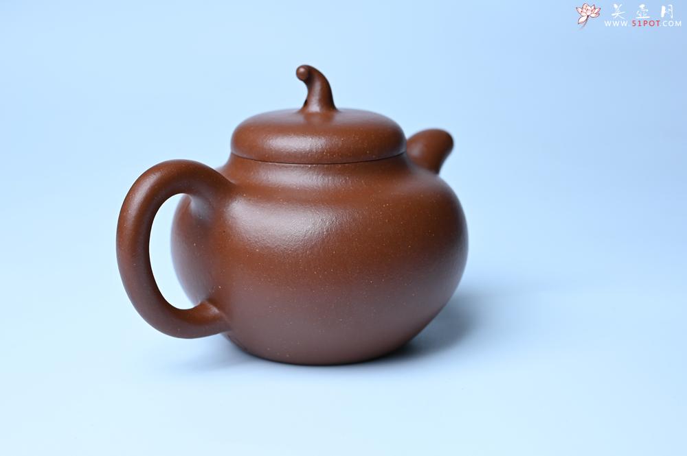 紫砂壶图片：潜力股周小培老师 油润降坡泥全手工茄瓜壶 - 紫砂壶信息网