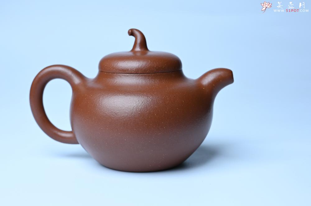 紫砂壶图片：潜力股周小培老师 油润降坡泥全手工茄瓜壶 - 紫砂壶信息网